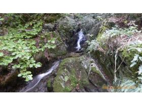 photo coins arrondis