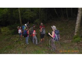 photo coins arrondis