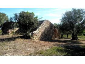 photo coins arrondis