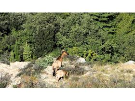 photo coins arrondis