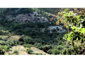 photo coins arrondis