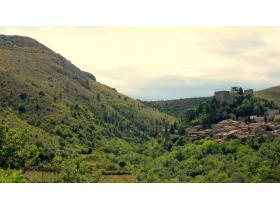 photo coins arrondis