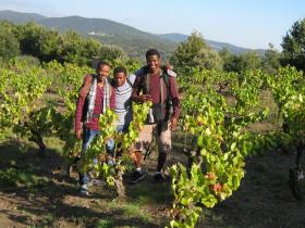 photo coins arrondis