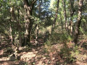 photo coins arrondis