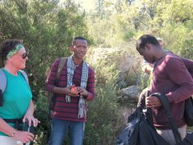 photo coins arrondis