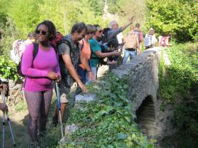 photo coins arrondis