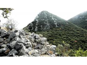 photo coins arrondis