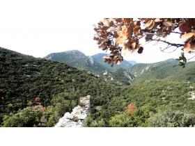 photo coins arrondis