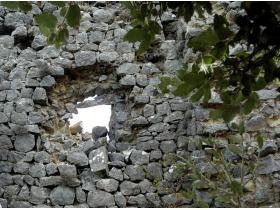 photo coins arrondis