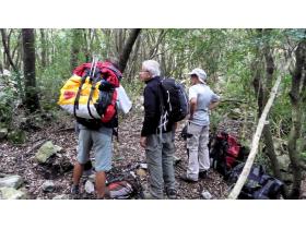 photo coins arrondis