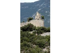 photo coins arrondis