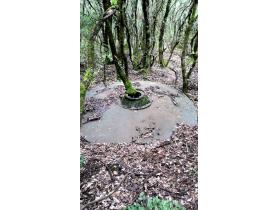 photo coins arrondis