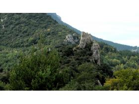 photo coins arrondis