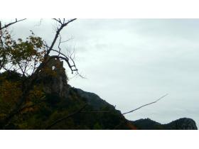 photo coins arrondis