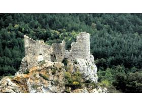 photo coins arrondis