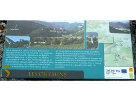 photo coins arrondis