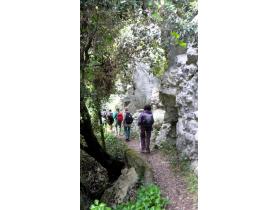 photo coins arrondis