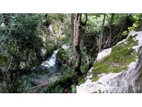 photo coins arrondis