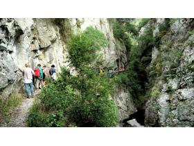 photo coins arrondis