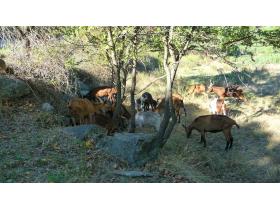 photo coins arrondis