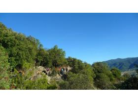 photo coins arrondis