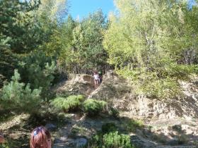 photo coins arrondis