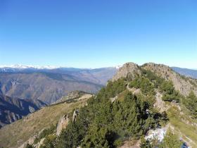 photo coins arrondis