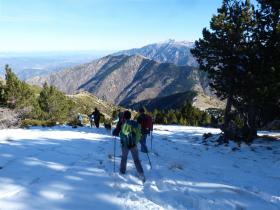 photo coins arrondis