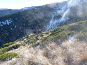 photo coins arrondis