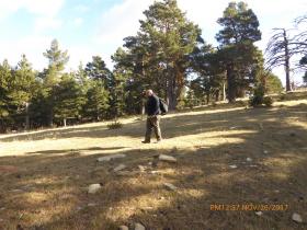 photo coins arrondis