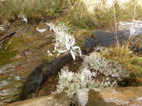 photo coins arrondis