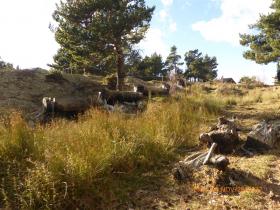 photo coins arrondis