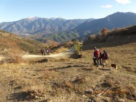 photo coins arrondis