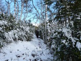 photo coins arrondis