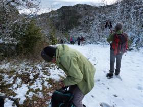 photo coins arrondis