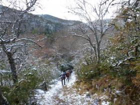 photo coins arrondis