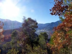 photo coins arrondis