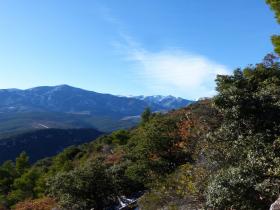 photo coins arrondis