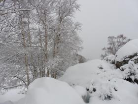 photo coins arrondis