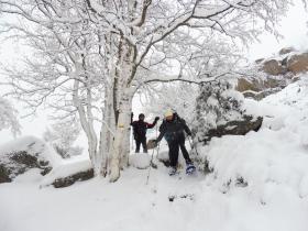 photo coins arrondis