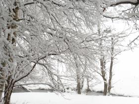 photo coins arrondis