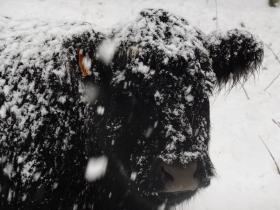 photo coins arrondis