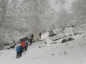 photo coins arrondis