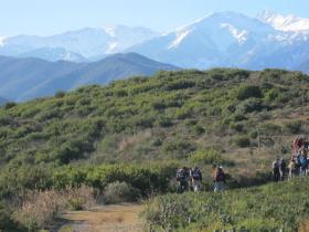 photo coins arrondis