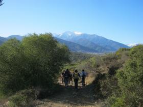 photo coins arrondis