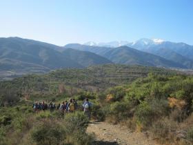 photo coins arrondis