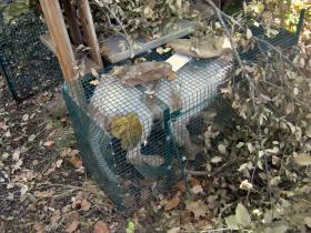 photo coins arrondis