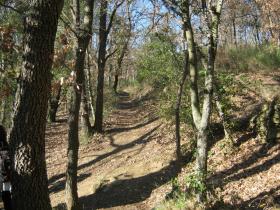 photo coins arrondis