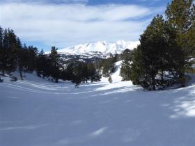 photo coins arrondis