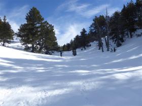 photo coins arrondis